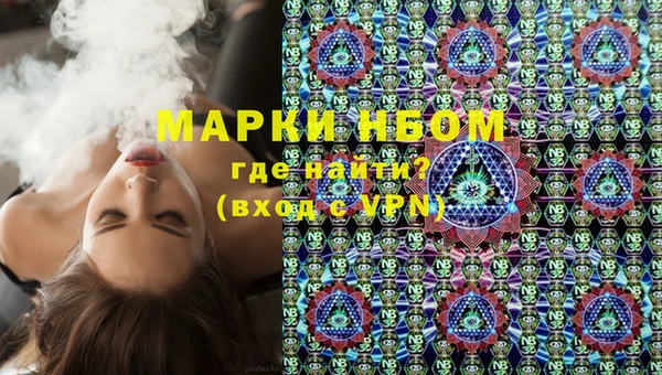 гидра Новодвинск