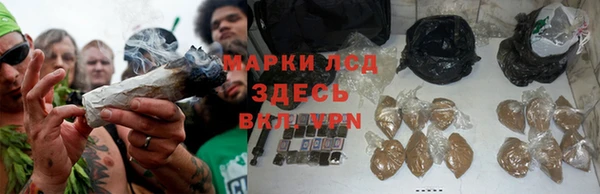гидра Новодвинск