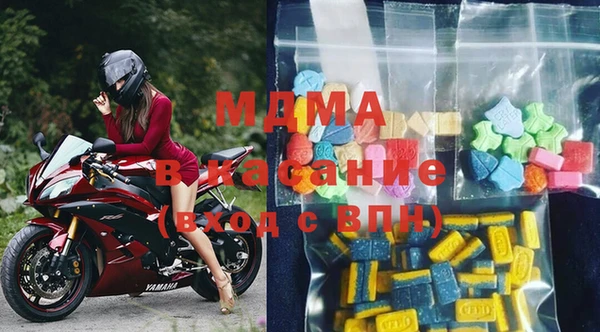 молекула духа Новозыбков