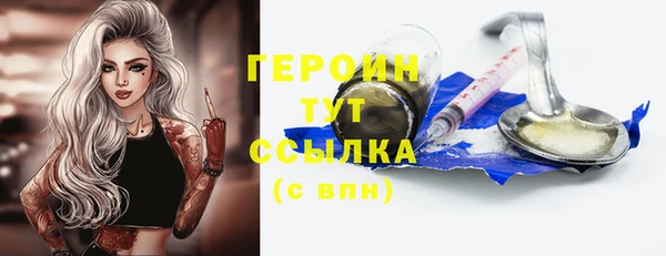 гидра Новодвинск