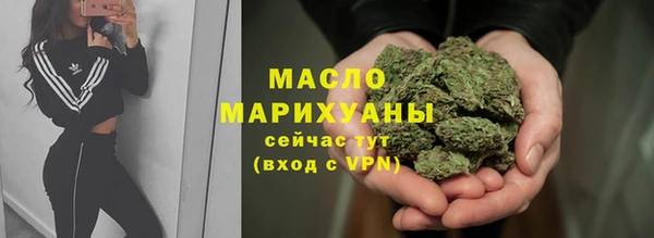 молекула духа Новозыбков