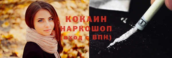 молекула духа Новозыбков