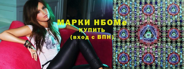молекула духа Новозыбков