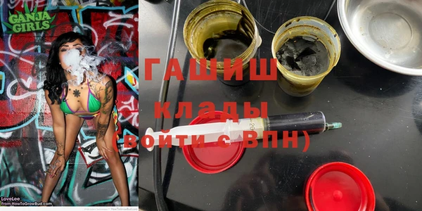 гидра Новодвинск