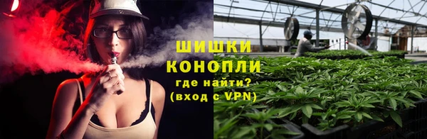 молекула духа Новозыбков