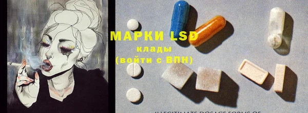 гидра Новодвинск