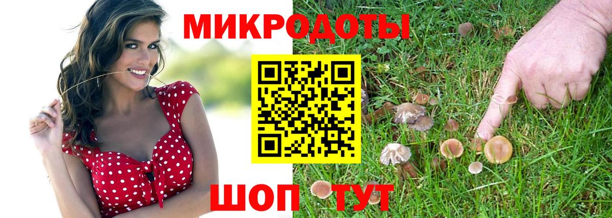 Галлюциногенные грибы MAGIC MUSHROOMS Когалым