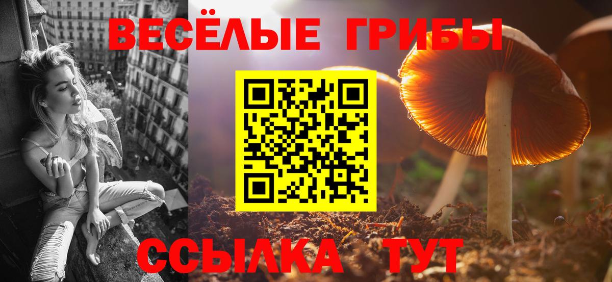 Галлюциногенные грибы мицелий  Вход с VPN  Когалым  Псилоцибиновые грибы MAGIC MUSHROOMS 